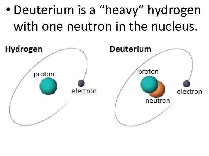  • Deuterium is a “heavy” hydrogen with one neutron in the nucleus. 