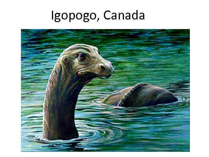 Igopogo, Canada 