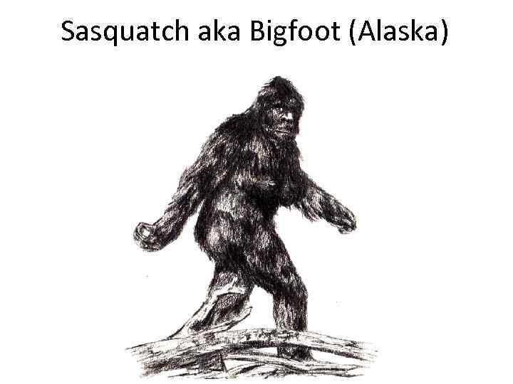 Sasquatch aka Bigfoot (Alaska) 