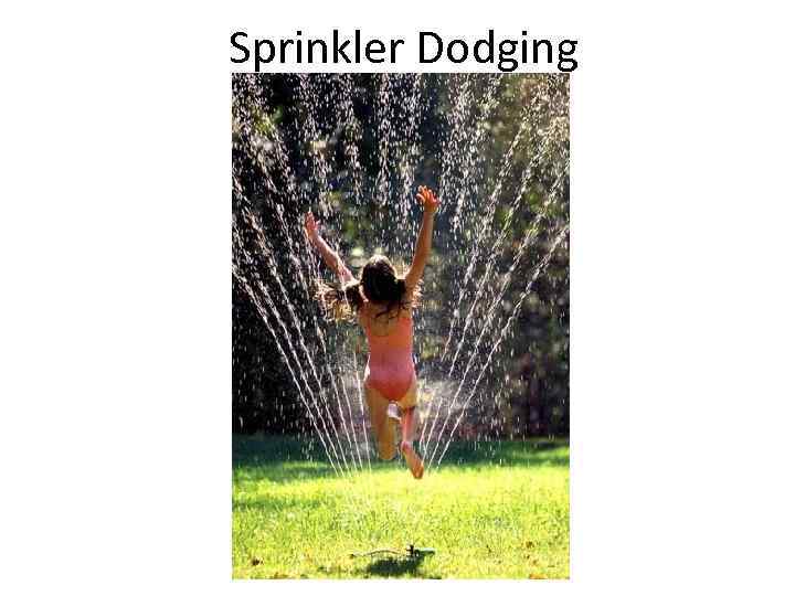 Sprinkler Dodging 