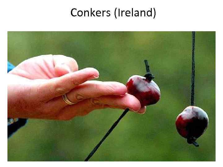 Conkers (Ireland) 
