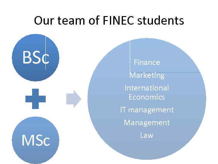 Our team of FINEC students BSc Finance Marketing International Economics IT management MSc Law