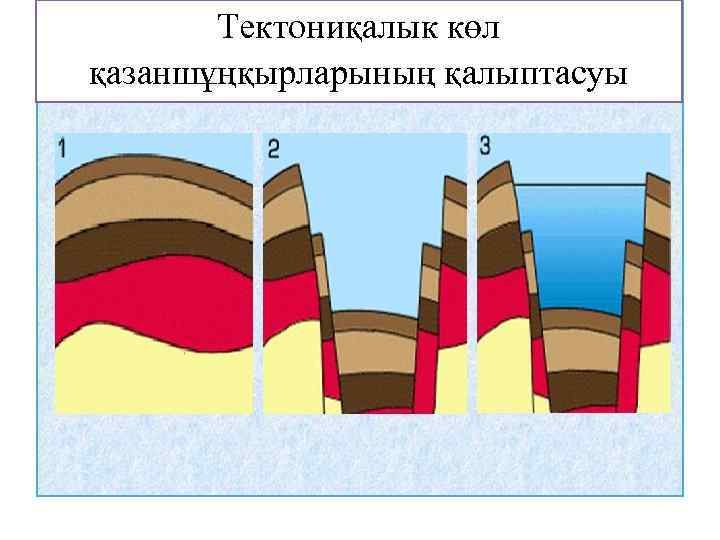 Тектониқалык көл қазаншұңқырларының қалыптасуы 