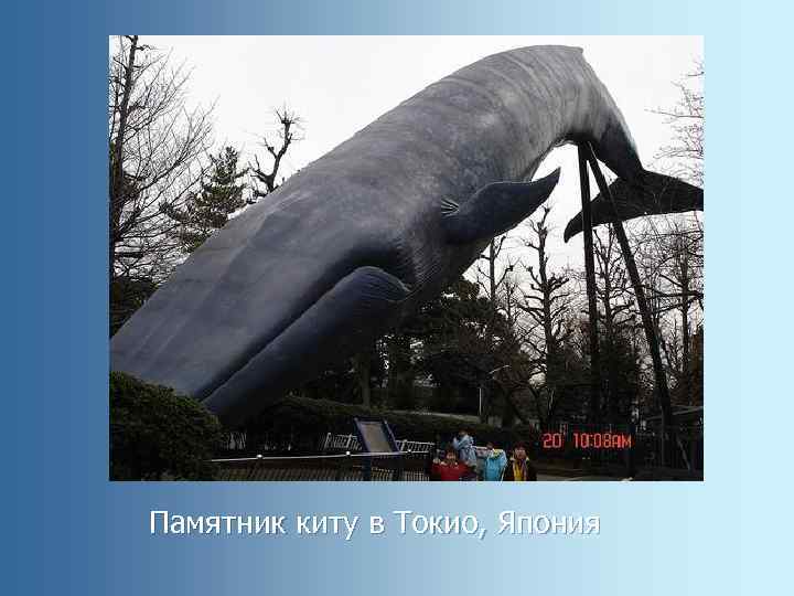 Памятник киту в Токио, Япония 