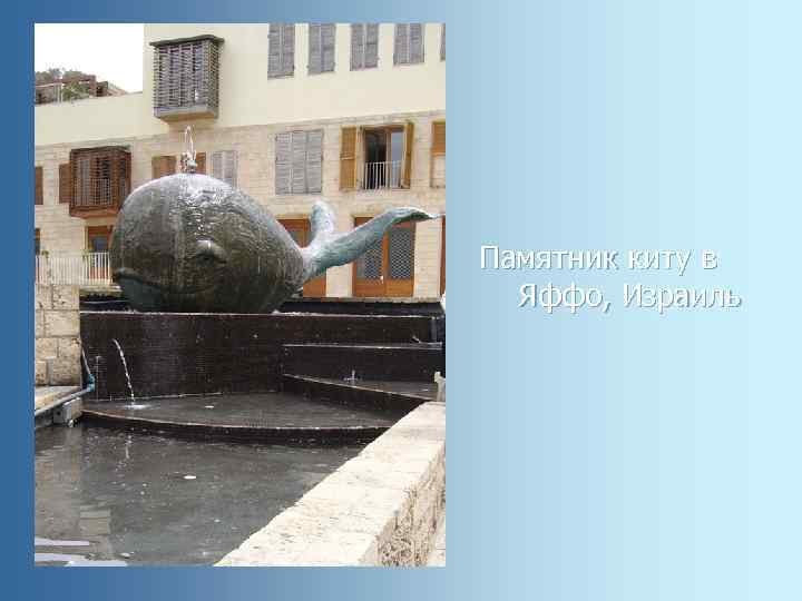Памятник киту в Яффо, Израиль 