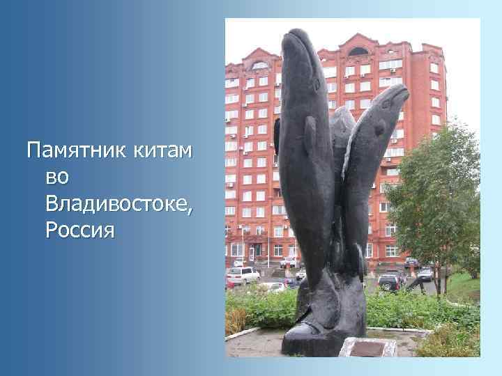 Памятник китам во Владивостоке, Россия 