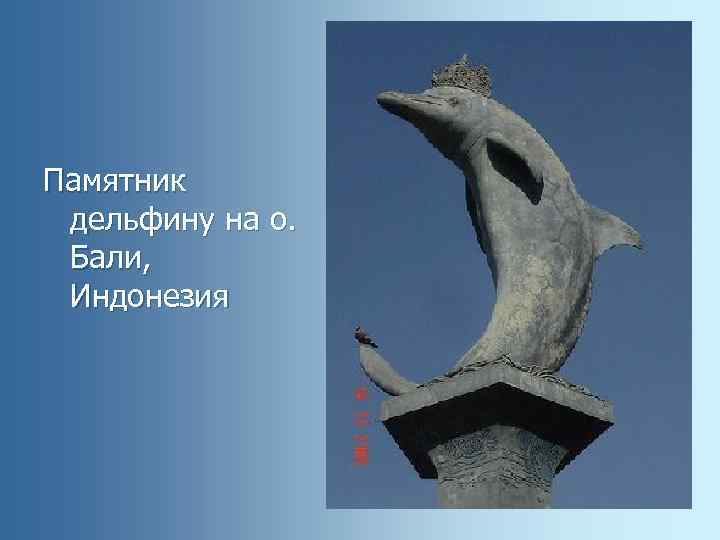 Памятник дельфину на о. Бали, Индонезия 