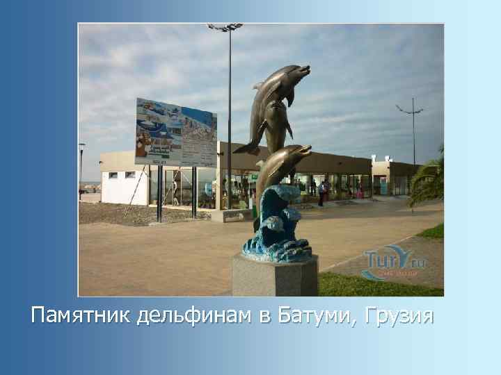Памятник дельфинам в Батуми, Грузия 