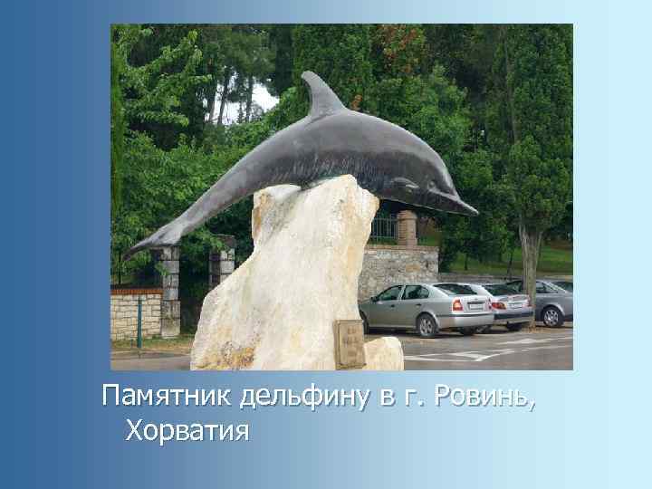 Памятник дельфину в г. Ровинь, Хорватия 