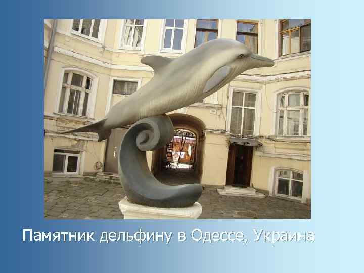 Памятник дельфину в Одессе, Украина 