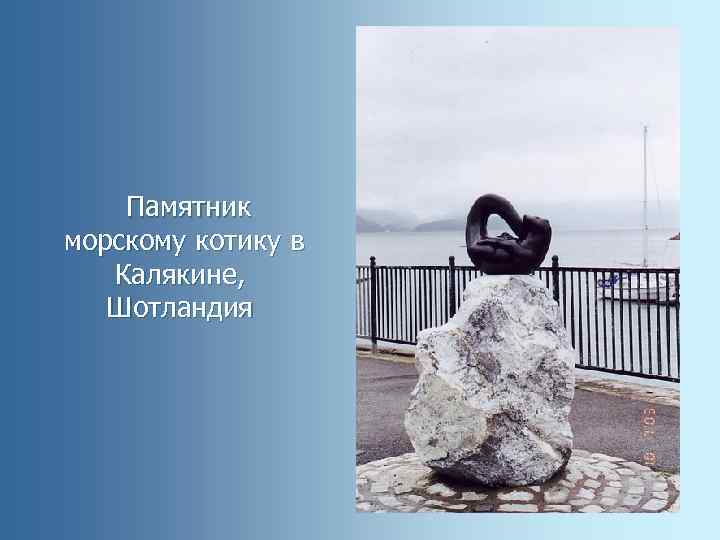  Памятник морскому котику в Калякине, Шотландия 