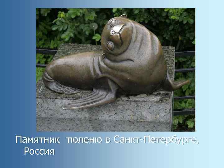 Памятник тюленю в Санкт-Петербурге, Россия 
