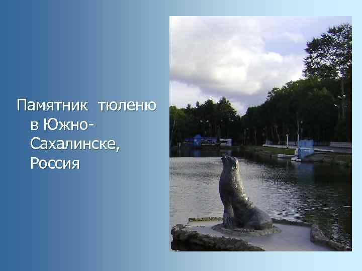 Памятник тюленю в Южно. Сахалинске, Россия 