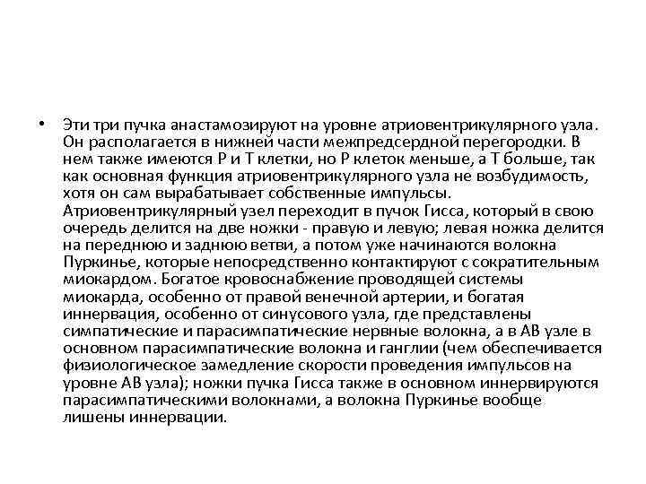  • Эти три пучка анастамозируют на уровне атриовентрикулярного узла. Он располагается в нижней