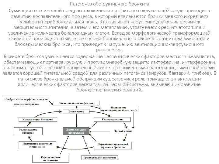Патогенез обструктивного бронхита Суммация генетической предрасположенности и факторов окружающей среды приводит к развитию воспалительного