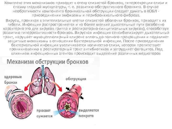 Комплекс этих механизмов приводит к отеку слизистой бронхов, гиперсекреции слизи и спазму гладкой мускулатуры,