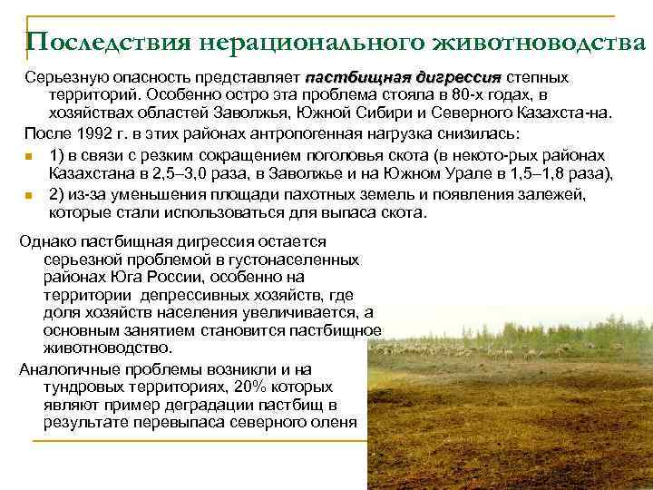 Последствия нерационального животноводства Серьезную опасность представляет пастбищная дигрессия степных пастбищная дигрессия территорий. Особенно остро