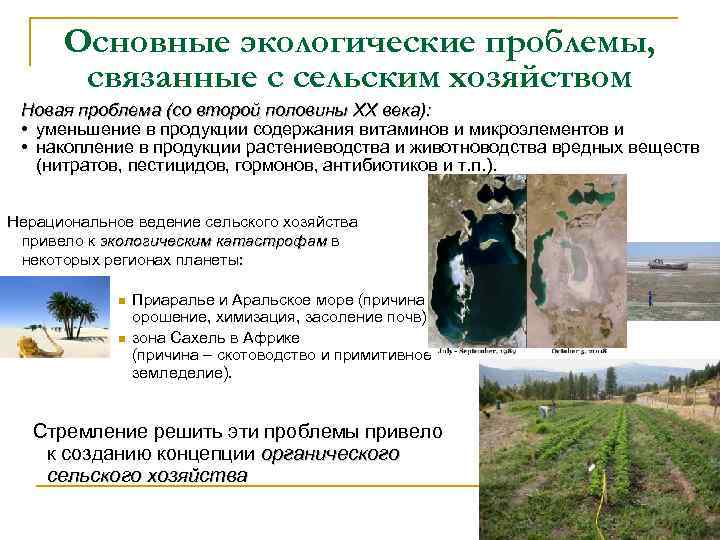 Основные экологические проблемы, связанные с сельским хозяйством Новая проблема (со второй половины ХХ века):