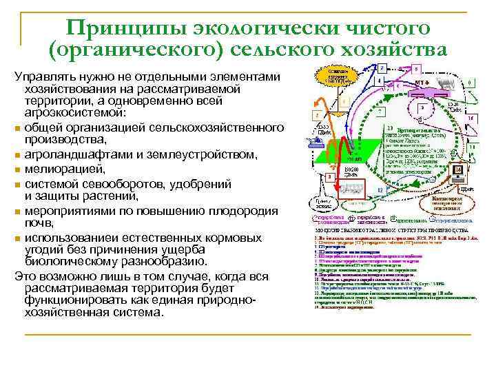 Принципы экологически чистого (органического) сельского хозяйства Управлять нужно не отдельными элементами хозяйствования на рассматриваемой
