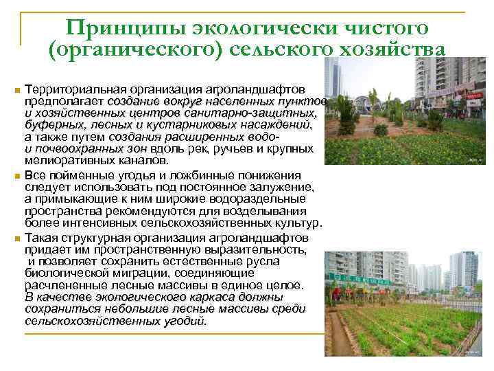 Принципы экологически чистого (органического) сельского хозяйства Территориальная организация агроландшафтов предполагает создание вокруг населенных пунктов