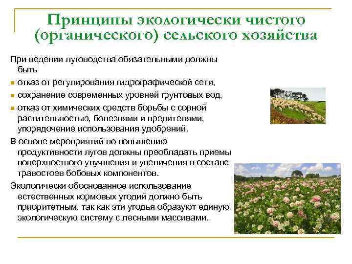Принципы экологически чистого (органического) сельского хозяйства При ведении луговодства обязательными должны быть n отказ