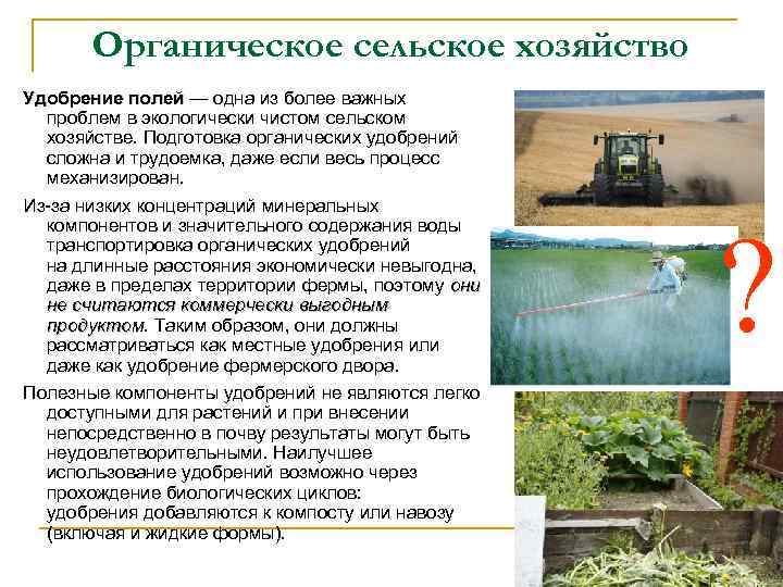 Органическое сельское хозяйство Удобрение полей — одна из более важных Удобрение полей проблем в