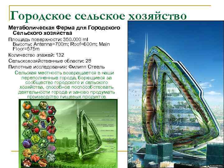 Городское сельское хозяйство Метаболическая Ферма для Городского Сельского хозяйства Площадь поверхности: 350. 000 mІ