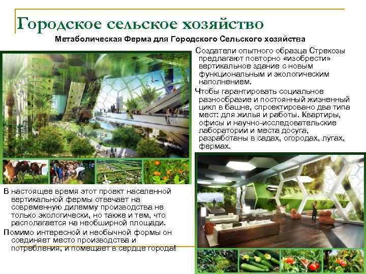 Городское сельское хозяйство Метаболическая Ферма для Городского Сельского хозяйства Создатели опытного образца Стрекозы предлагают