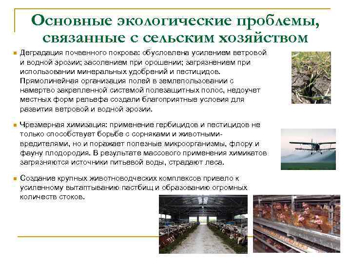 Основные экологические проблемы, связанные с сельским хозяйством n Деградация почвенного покрова: обусловлена усилением ветровой