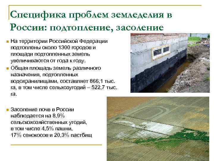 Специфика проблем земледелия в России: подтопление, засоление На территории Российской Федерации подтоплены около 1300