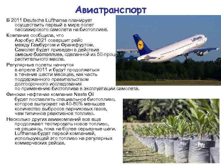 Авиатранспорт В 2011 Deutsche Lufthansa планирует осуществить первый в мире полет пассажирского самолета на