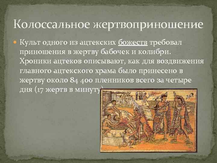 Колоссальное жертвоприношение Культ одного из ацтекских божеств требовал приношения в жертву бабочек и колибри.