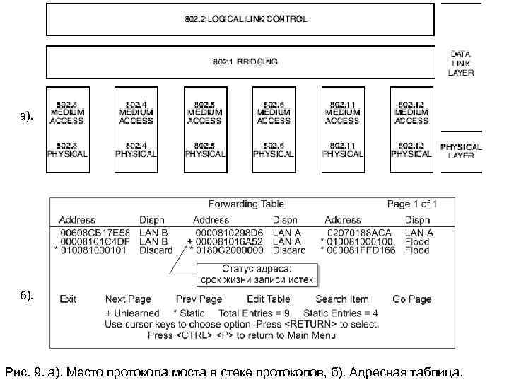а). б). Рис. 9. а). Место протокола моста в стеке протоколов, б). Адресная таблица.