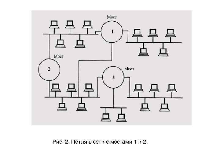 Рис. 2. Петля в сети с мостами 1 и 2. 