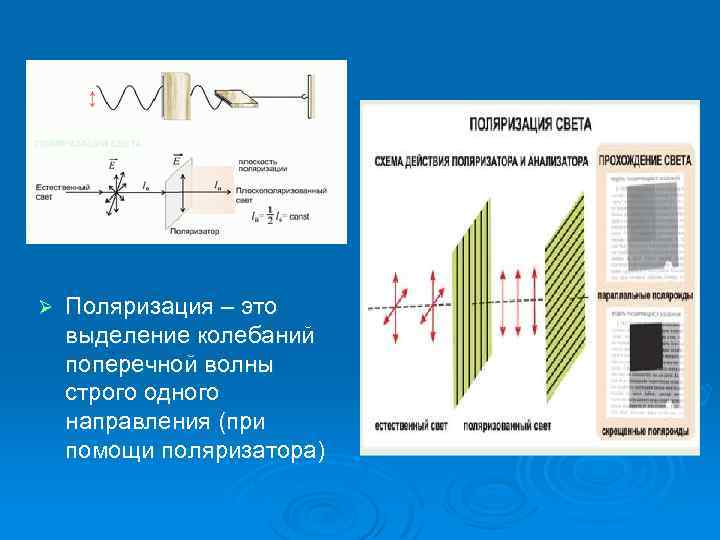 Ø Поляризация – это выделение колебаний поперечной волны строго одного направления (при помощи поляризатора)