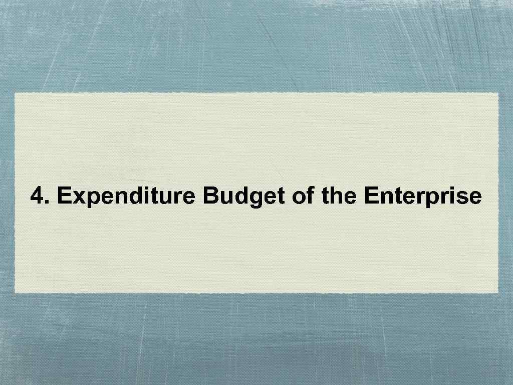 4. Expenditure Budget of the Enterprise 