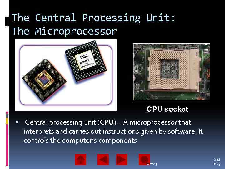 The Central Processing Unit: The Microprocessor CPU socket Central processing unit (CPU) – A