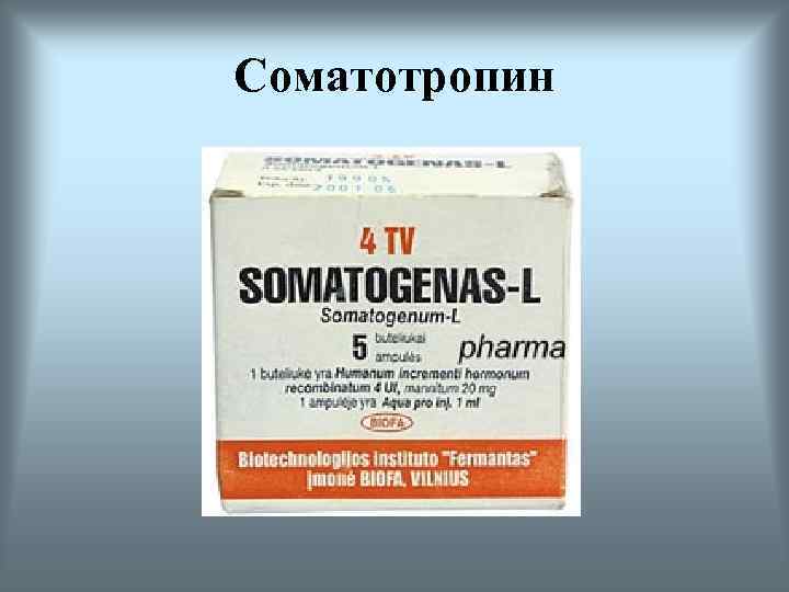 Соматотропин 