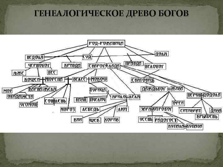 ГЕНЕАЛОГИЧЕСКОЕ ДРЕВО БОГОВ 