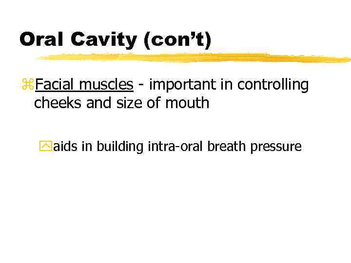 Oral Cavity (con’t) z. Facial muscles - important in controlling cheeks and size of
