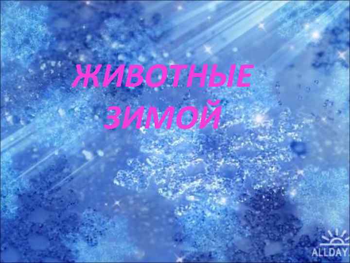 ЖИВОТНЫЕ ЗИМОЙ 