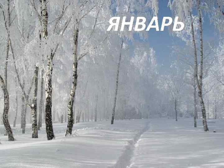 ЯНВАРЬ 