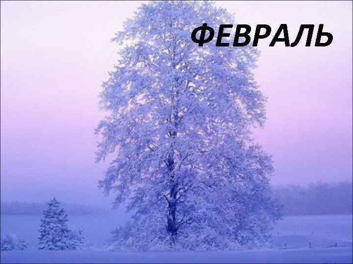 ФЕВРАЛЬ 