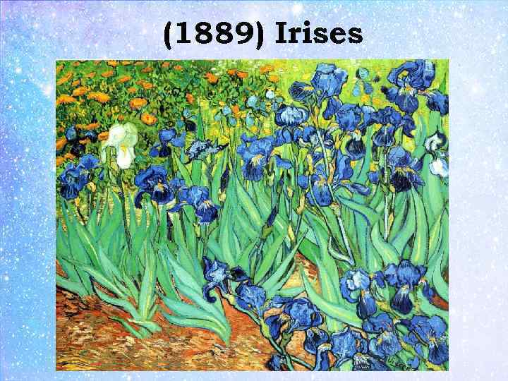 (1889) Irises 