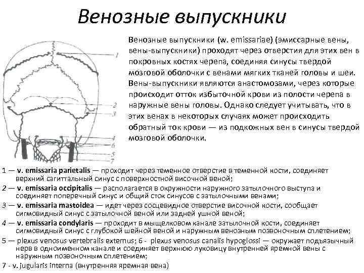 Для чего применяется схема черепно мозговой топографии