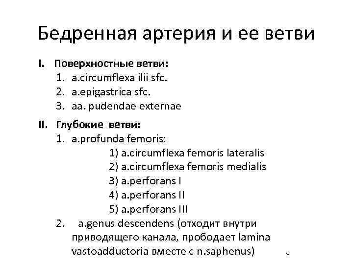 Бедренная артерия и ее ветви I. Поверхностные ветви: 1. a. circumflexa ilii sfc. 2.