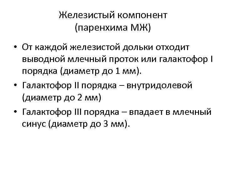 Железистый компонент (паренхима МЖ) • От каждой железистой дольки отходит выводной млечный проток или