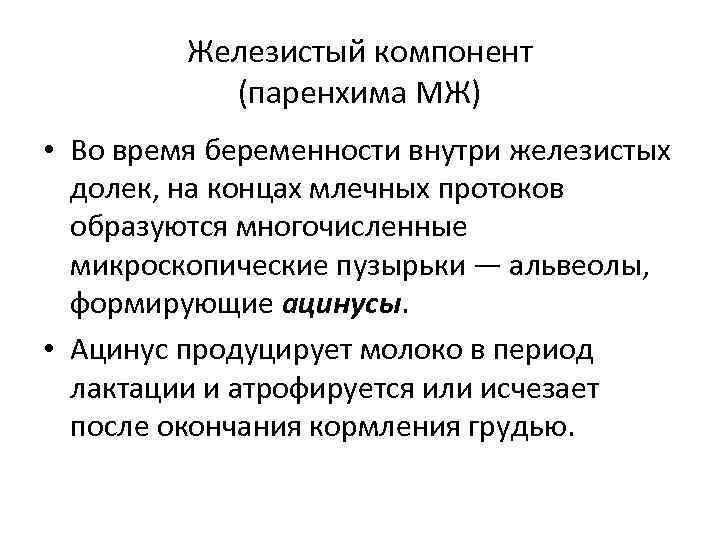 Железистый компонент (паренхима МЖ) • Во время беременности внутри железистых долек, на концах млечных