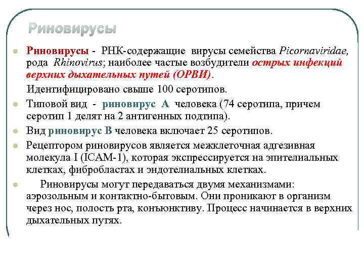 Риновирусы l l l Риновирусы - РНК-содержащие вирусы семейства Рicornaviridае, рода Rhinovirus; наиболее частые