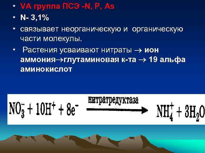  • VA группа ПСЭ -N, P, As • N- 3, 1% • связывает